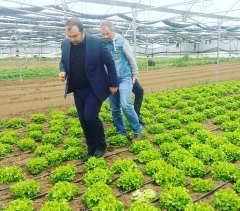 ESKİŞEHİR-MÜTTALİP SERALARDA İNCELEME